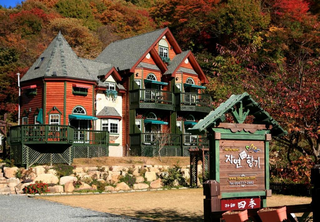 Gyeongju Jy Pension Bagian luar foto
